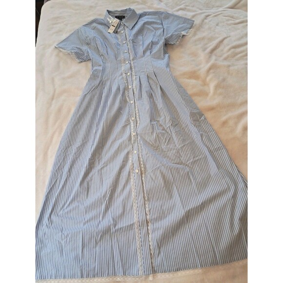 J.Crew Wren Lace-Trim Shirtdress in Stripe Blue White CK807 $188  Size 10NWT - Picture 5 of 13